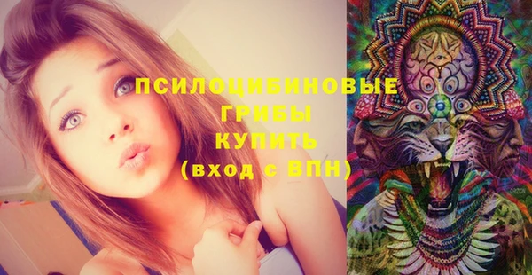 соль ск Арсеньев